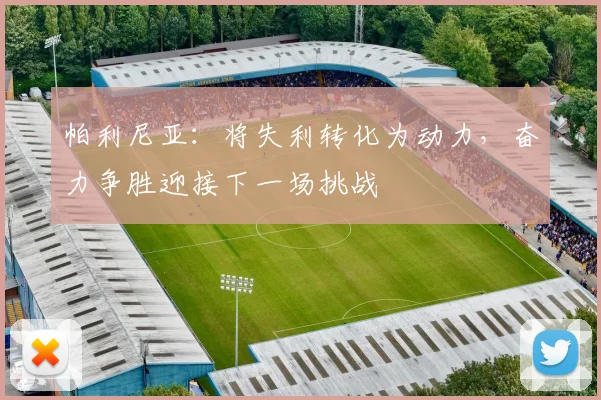帕利尼亚：将失利转化为动力，奋力争胜迎接下一场挑战