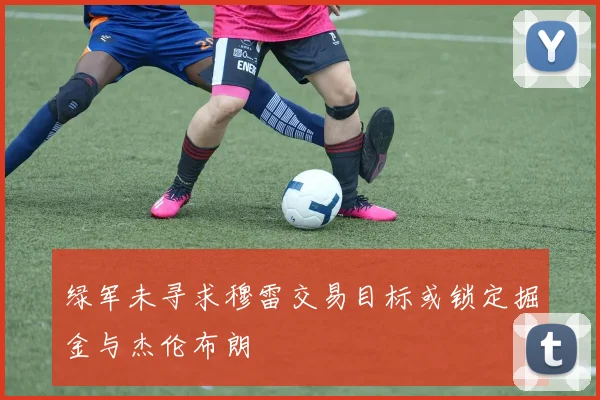 绿军未寻求穆雷交易目标或锁定掘金与杰伦布朗