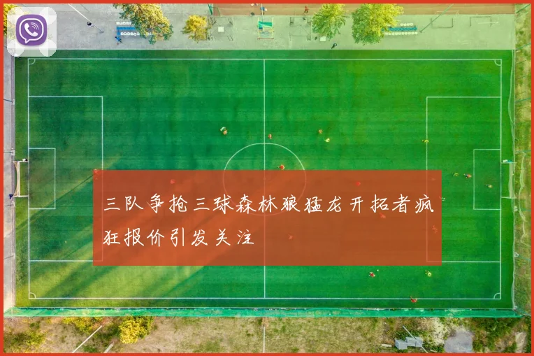 三队争抢三球森林狼猛龙开拓者疯狂报价引发关注