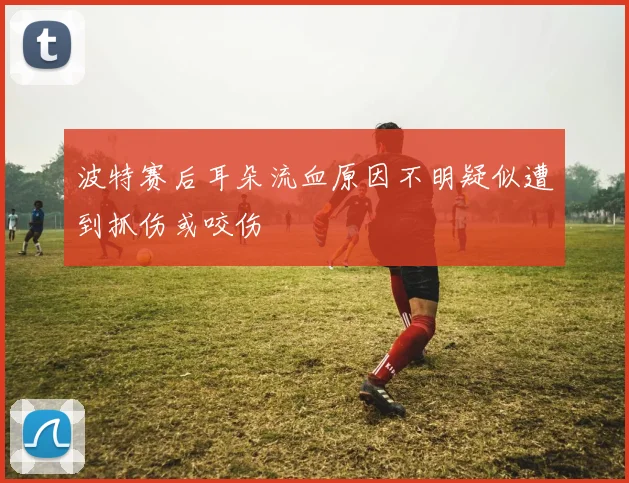 波特赛后耳朵流血原因不明疑似遭到抓伤或咬伤